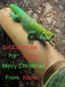 Gift Certificate 