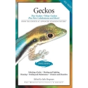 "Geckos," Day Geckos, Tokay Geckos Plus New Caledonians and More! 